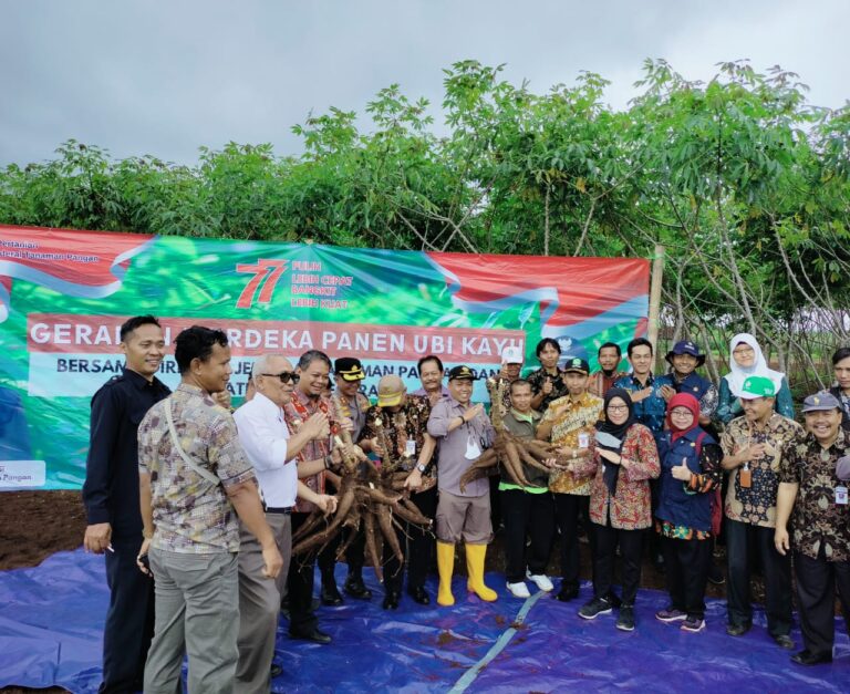 Banjarnegara Siap Bangkitkan Lagi Pengembangan Ubi Kayu