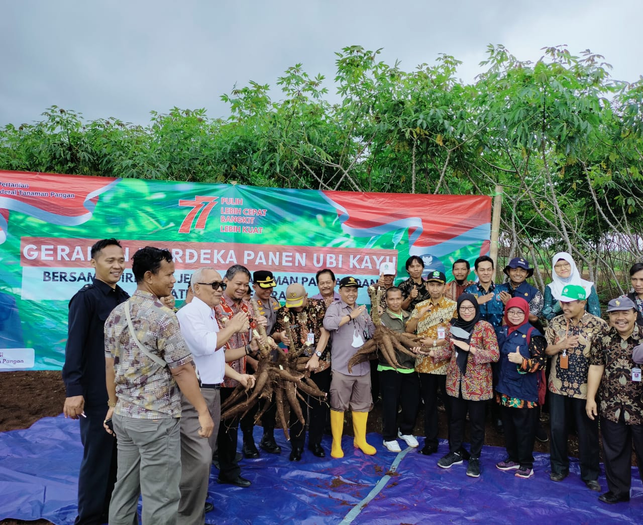 Banjarnegara Siap Bangkitkan Lagi Pengembangan Ubi Kayu - MONITOR