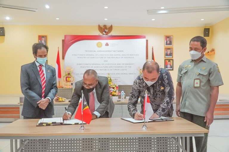 Indonesia-Timor Leste Perkuat Kerjasama Sub Sektor Peternakan dan Kesehatan Hewan