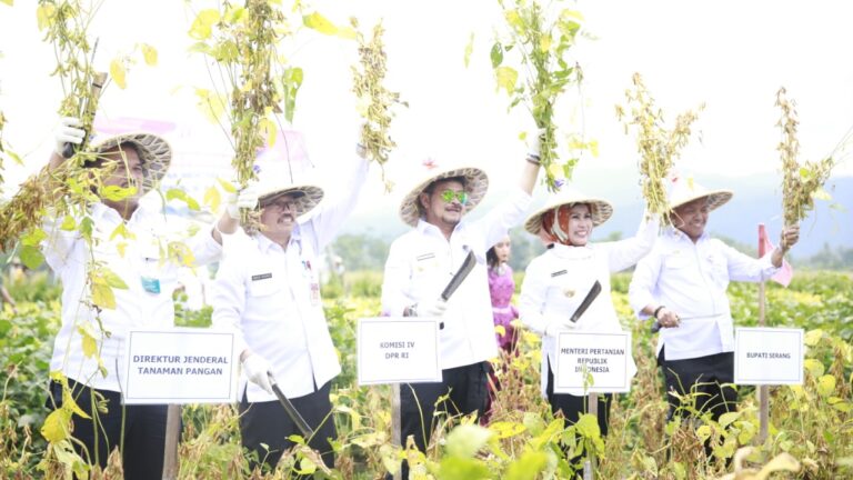 Mentan SYL Lakukan Panen Kedelai Produktivitas Tinggi di Banten