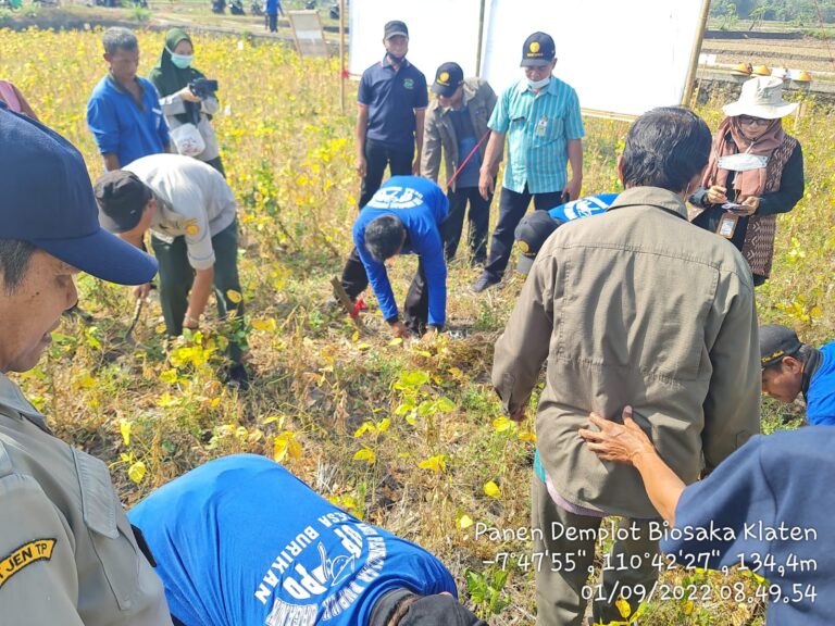 Gerakan Masal Pembuatan Bahan Alami Biosaka, Inovasi Petani untuk Peroleh Hasil Tinggi