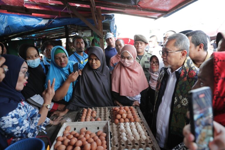 Zulhas Klaim Harga Bapok di Pasar Cik Puan Pekanbaru Stabil