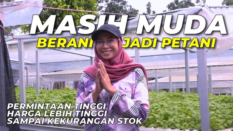 Prospek Usaha Budidaya Sayuran Hidroponik ‼️