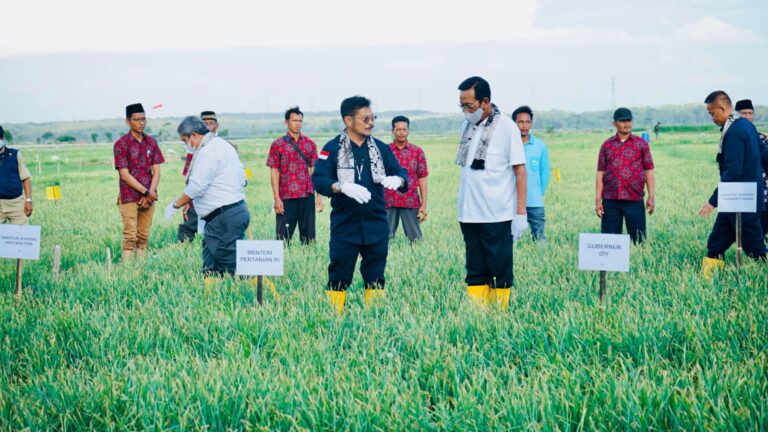 Momen Hari Tani, Mentan Ajak Sri Sultan HB X Kolaborasi Pengembangan Pertanian