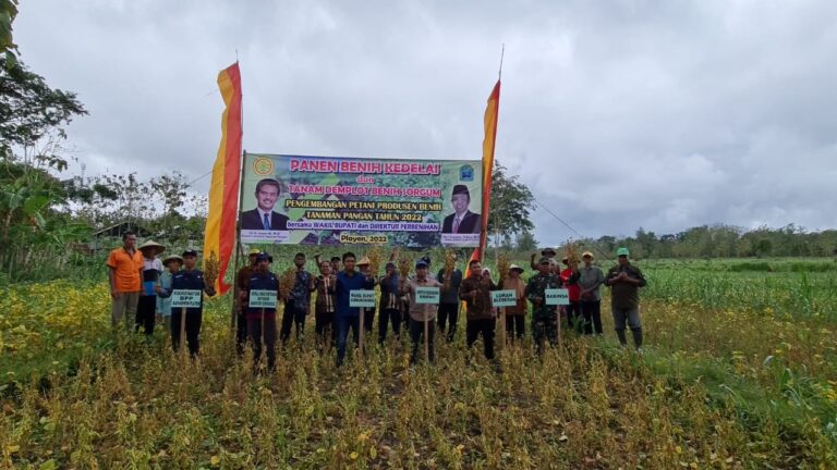 Petani Gunung Kidul Siap Jadi Produsen Benih Kedelai