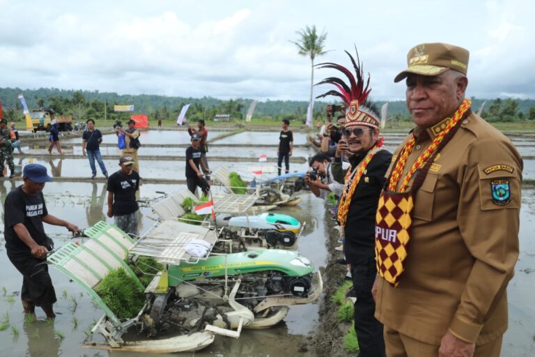 Mentan SYL Gelar Tanam Padi MT II 2022 di Papua