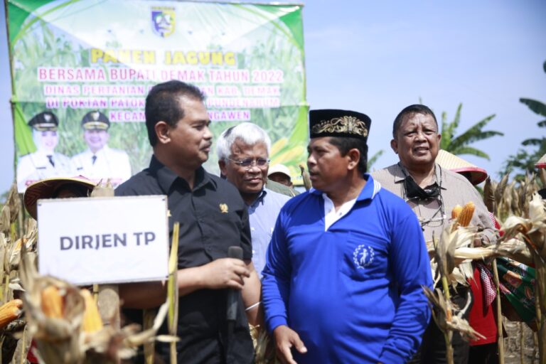 Panen Jagung, Petani Demak Diajarkan Terapkan Bahan Alami Bioasaka