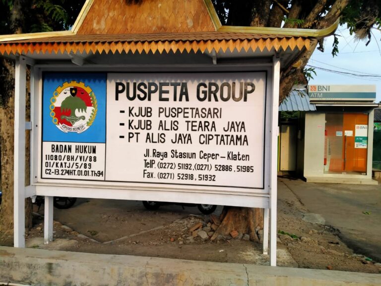 Menengok Budidaya Sapi Sistem Kemitraan KJUB Puspetasari Klaten