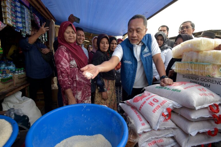 Tinjau Pasar Panyabungan, Zulhas: Harga Komoditas Stabil