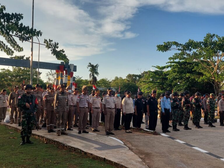 Apel Siaga, Optimalisasi Fungsi Karantina di Perbatasan