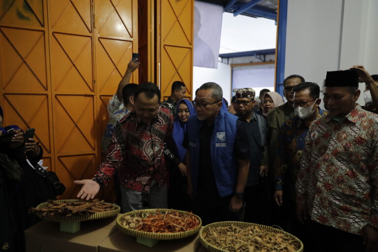 Zulhas: Produk Herbal Indonesia Harus ‘Merajai’ Pasar Global