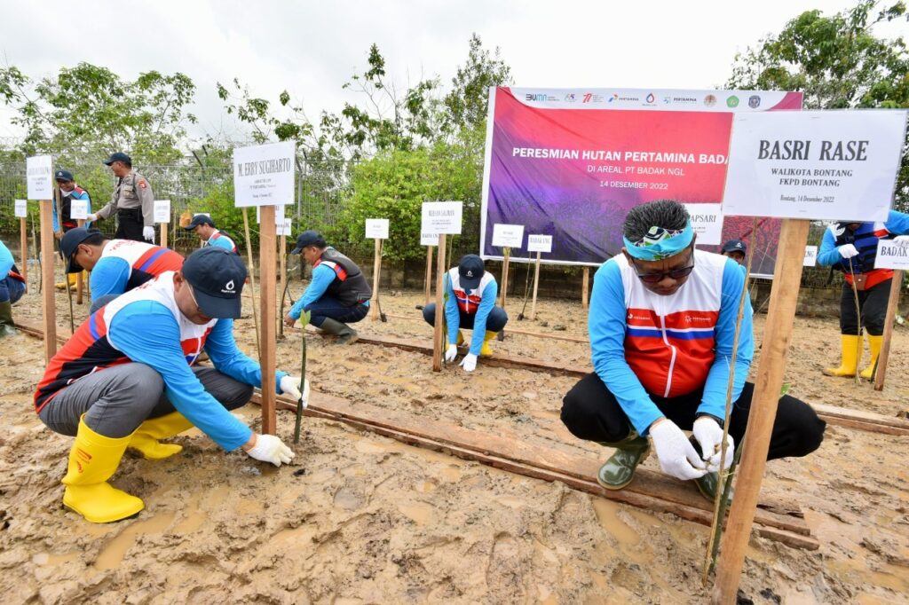 Targetkan Pengurangan Emisi Karbon Melalui Hutan Pertamina - MONITOR