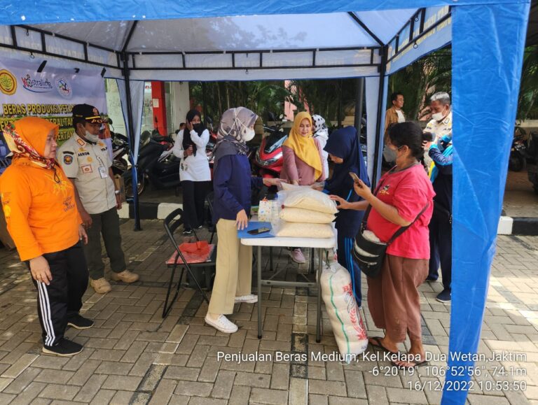 Kementan Pastikan Stok Beras Aman Jelang Nataru