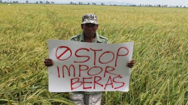 Beras Melimpah, Pemprov Jabar dan Jatim Minta Tak Impor dan Siap Pasok ke Gudang Bulog