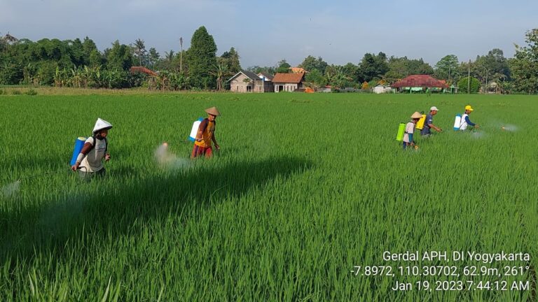 Pemanfaatan Agens Pengendali Hayati dalam Gerakan Pengendalian Preemtif Amankan Pangan di Bantul
