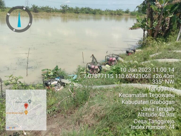 Respon Cepat Kementan Tangani Banjir Areal Pesawahan Kabupaten Demak