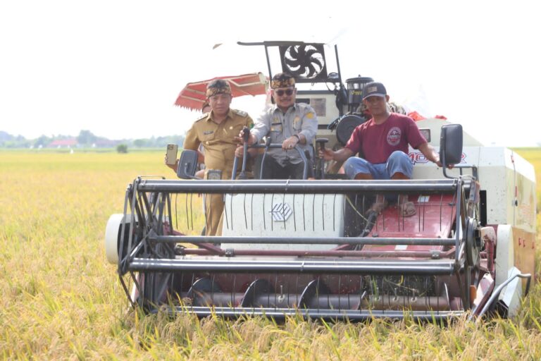 Hasil Melimpah, Mentan SYL Panen Raya Perdana Padi di Karawang