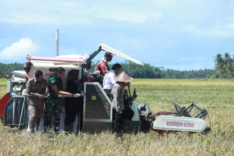 Kementan: Panen Padi di Pandeglang Melimpah