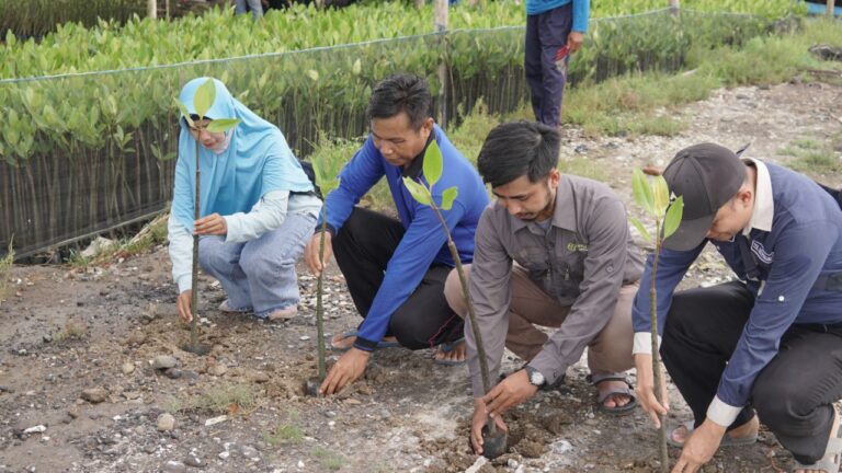 Sinergi Foundation Lakukan Aksi Penanaman Pohon Mangrove di Kawasan Desa Pesisir