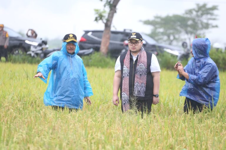 Panen Padi di Kediri, Mentan SYL Ajak Petani Tanam Padi Minimal 3 Kali dalam 1 Tahun