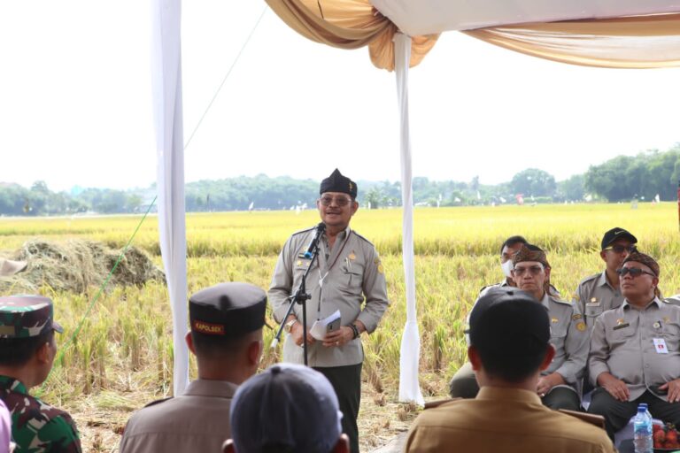Sentra Produksi Beras Jawa Barat Masuk Masa Panen Raya