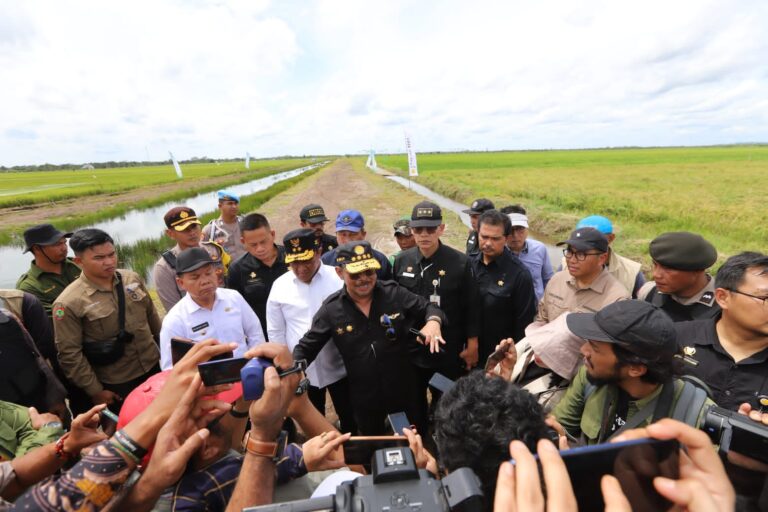Mentan SYL Pastikan Food Estate Kalteng Berkembang, Produktivitas Padi Capai 5 Ton Per Ha