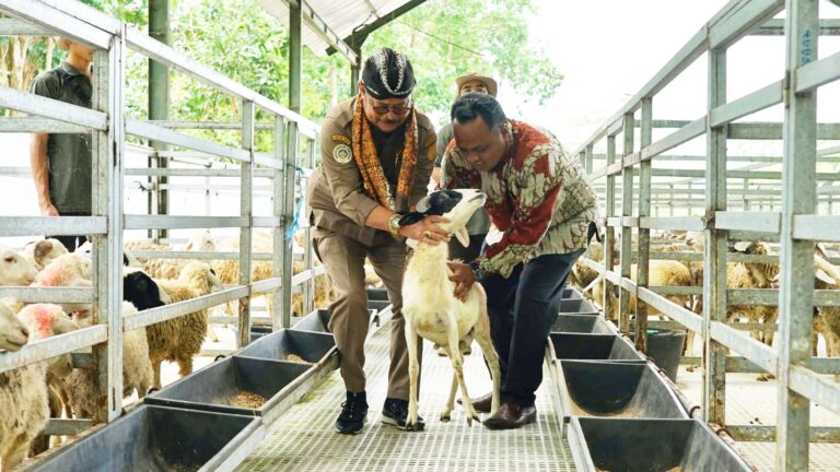 Tingkatkan Ekonomi Kerakyatan, Kementan Dorong Setiap Daerah Kembangkan Model Closed-Loop Peternakan Kambing Domba