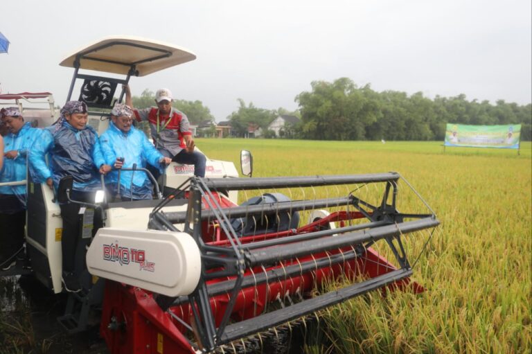 Panen Raya Padi di Lamongan Capai 7,3 Ton Perhektar