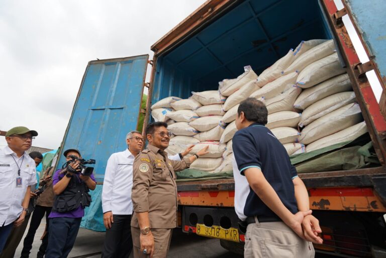 Mentan SYL Pastikan Kebutuhan Beras untuk DKI Jakarta dan Nasional Aman