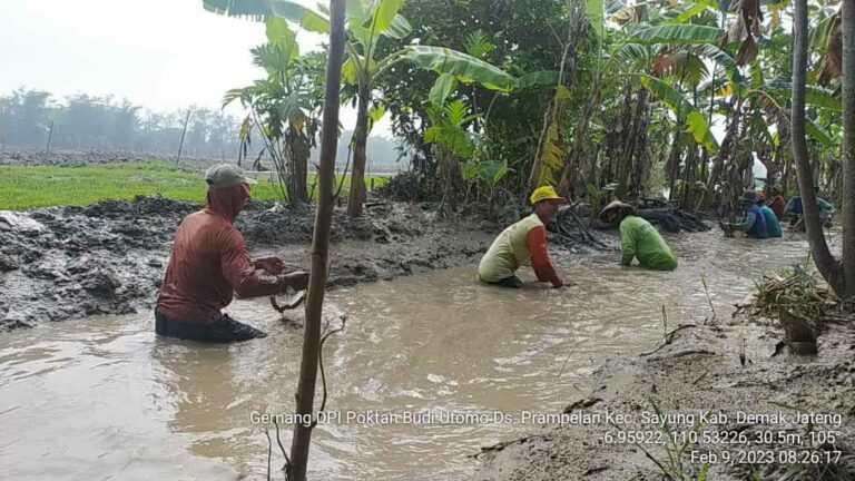Kementan Bersama Pemda Demak Normalisasi Saluran Air untuk Antisipasi Banjir