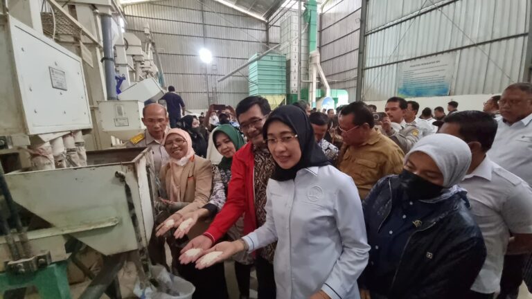 Komisi IV DPR Cek Ketersediaan Beras di Penggilingan Jelang Panen Raya di Jombang
