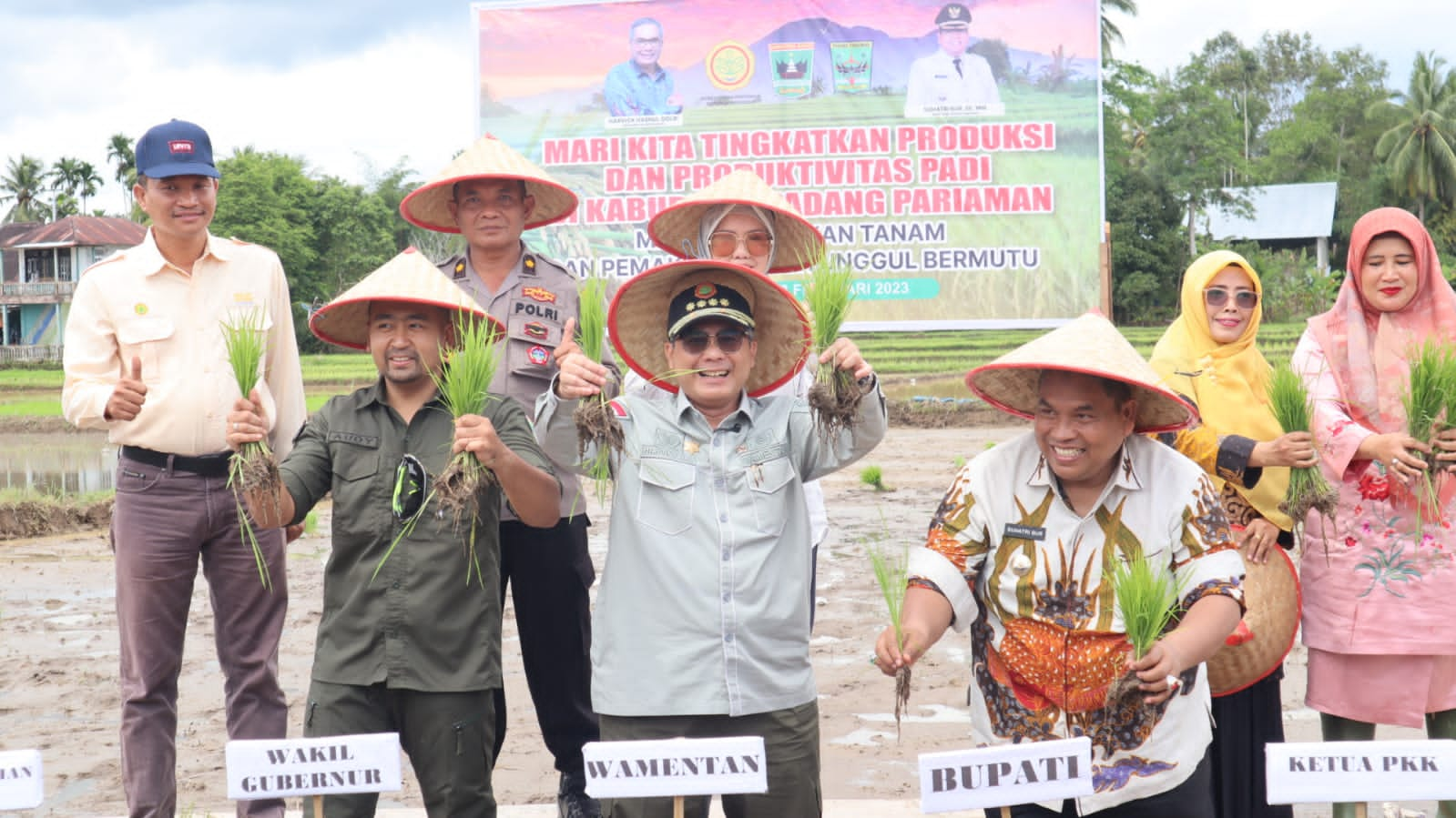 Wujudkan Akselerasi Ketahanan Pangan, Wamentan Tanam Padi Dan Panen ...