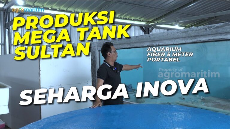Ide Usaha Pembuatan Kolam Fiber untuk Budidaya Ikan