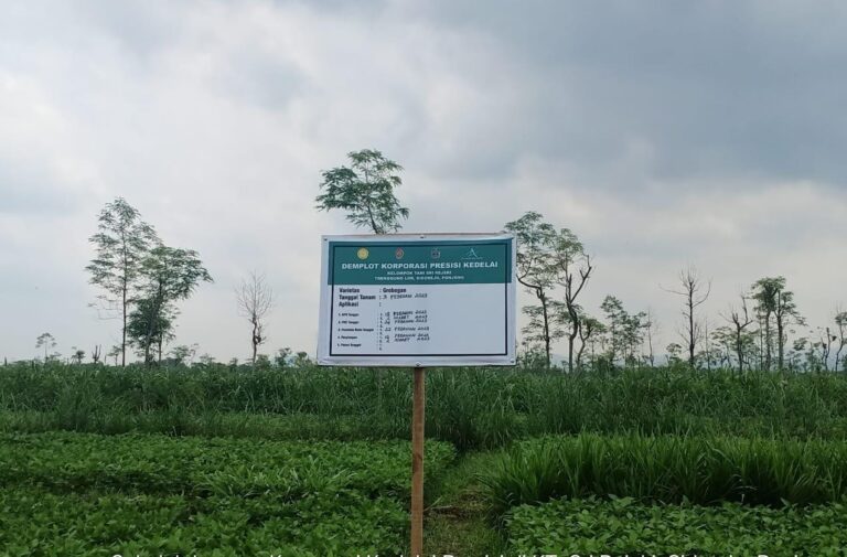 Dorong Pertanian Presisi Melalui Sekolah Lapang Kedelai di Gunung Kidul