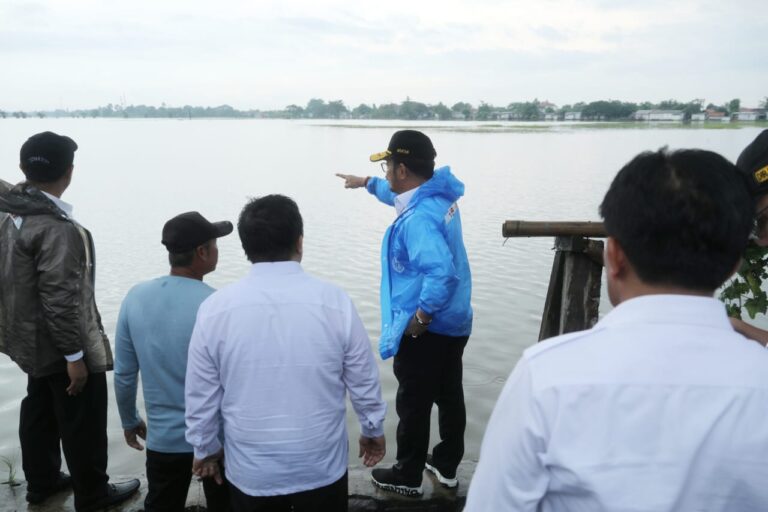 Tinjau Sawah Banjir di Kabupaten Bekasi, Mentan SYL Minta Dilakukan Percepatan Pemulihan