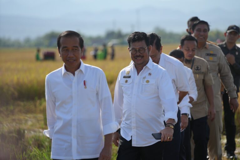 Presiden Jokowi bersama Mentan SYL Panen Raya Padi di Maros