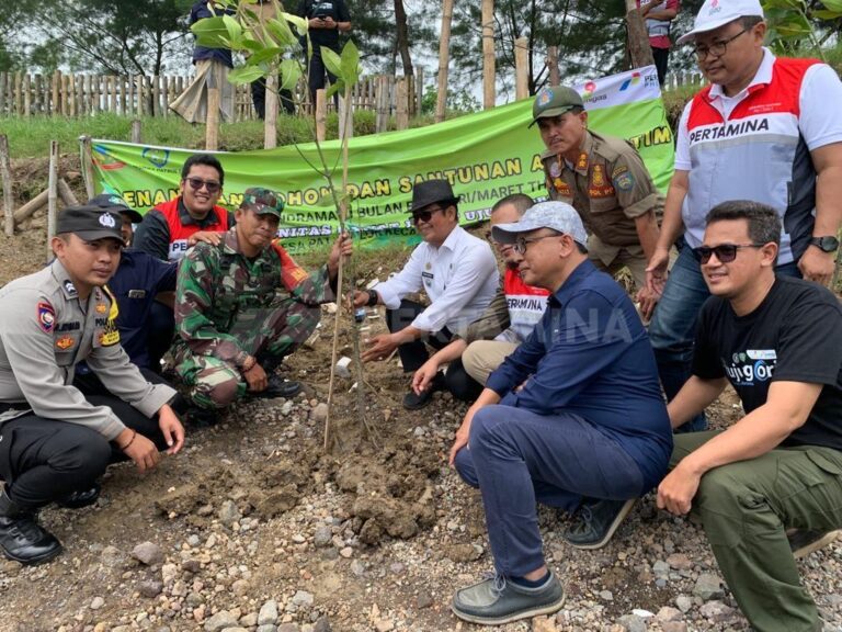 Lindungi Kawasan Tepi Pantai, PHE ONWJ Tanam Seribu Mangrove di Pantai Ujung Ori Indramayu