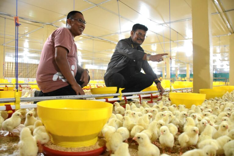 Mentan SYL Terapkan Role Model Penerapan Sistem Hulu-Hilir Ayam Broiler di Gowa