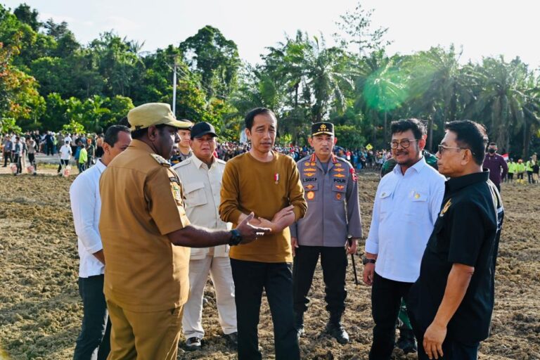 Jokowi Kick Off Food Estate di Papua, Siapkan Lahan Jagung 10 Ribu Hektare