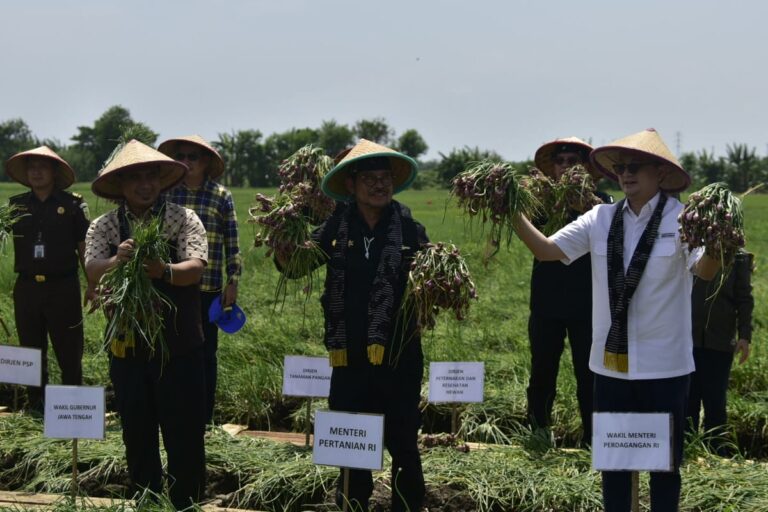 Sambut HBKN, Kementan dan Kemendag Sinergi Amankan Stok dan Harga Bawang Merah