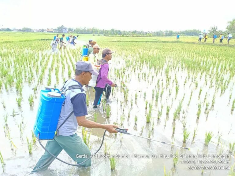 Kementan Dorong Penguatan Mitigasi Dampak Serangan OPT dan DPI