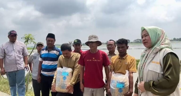 Bantuan Benih Kementan Mulai Diterima, Ketua KTNA Desa Sukakarya: Bagus dan Berkulitas