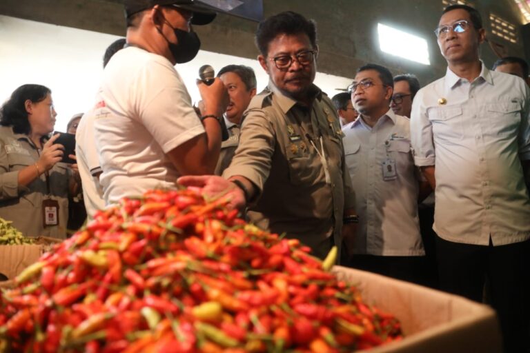 Mentan SYL bersama PJ Gub DKI Sidak Pasar Kramatjati, Pastikan Bawang dan Cabai Aman