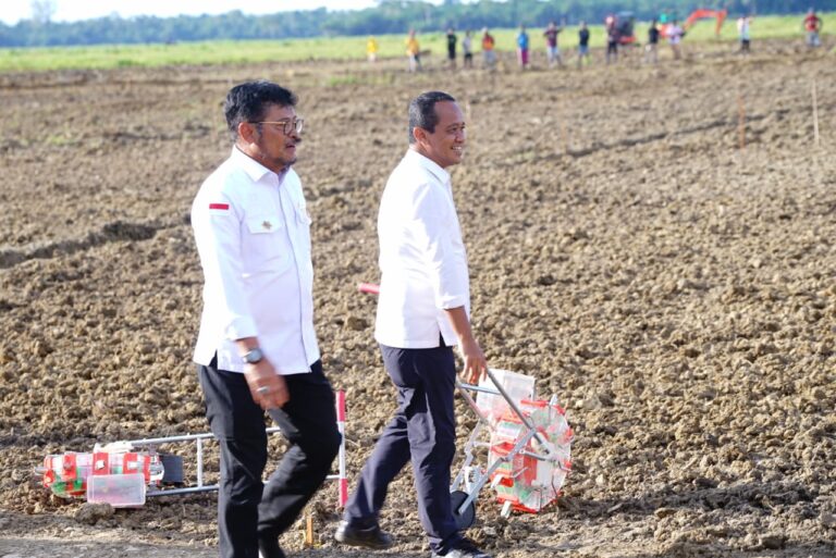 Optimalkan Lahan Tidur, Kementan Siapkan Keerom Jadi Sentra Komoditas Jagung Nasional