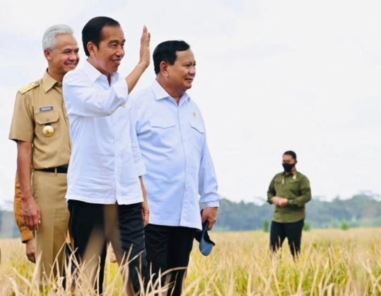 Jokowi Sebut Indonesia Masih Kekurangan Pupuk
