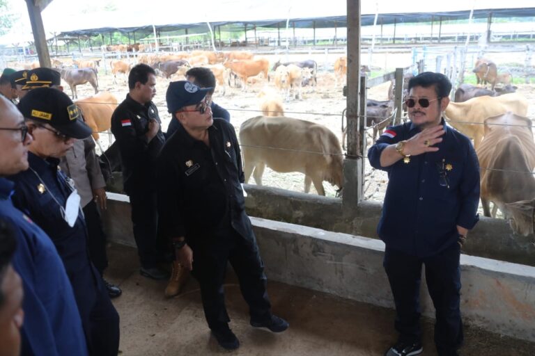 Mentan SYL Dorong Provinsi Sulsel Jadi Sentra Sapi Potong Nasional