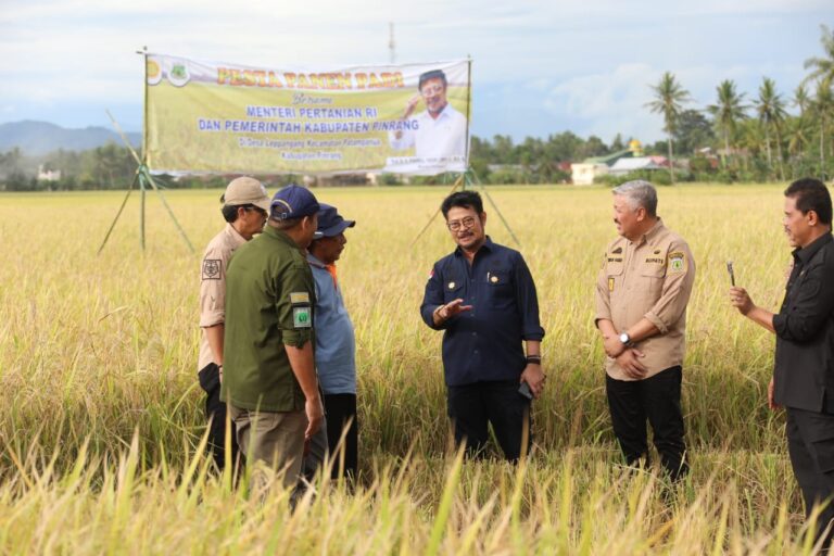 Pertanian Pinrang Makin Pesat, Produksi Padi Terus Meningkat