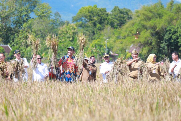 Panen Padi IP400 dengan Aplikasi Biosaka Sukses, Produktivitas Petani Klaten Meningkat