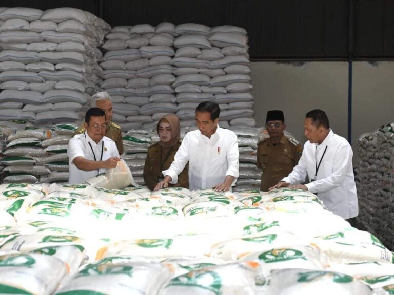 Bulog Salurkan Bantuan Beras, Jokowi: Beras Impor untuk Berjaga-jaga