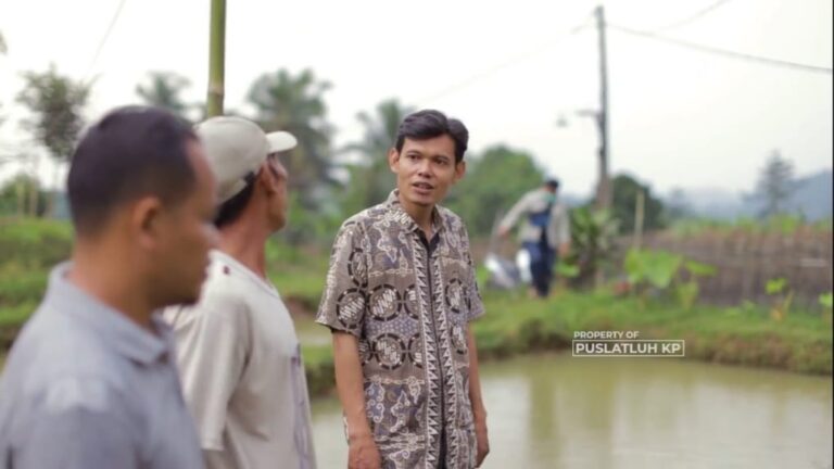 Sulap Bekas Sawah Jadi Kolam, Pembudidaya di Bogor Sukses Produksi 3 Ton Nila